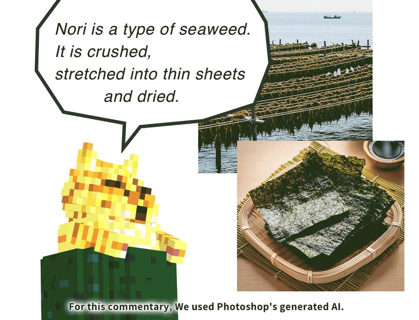 Nori is a type of seaweed.